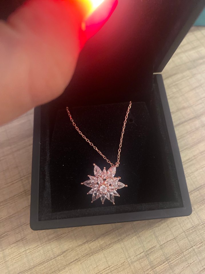 Altın Renkli Zincir Detaylı gümüş kolye - Görsel 2