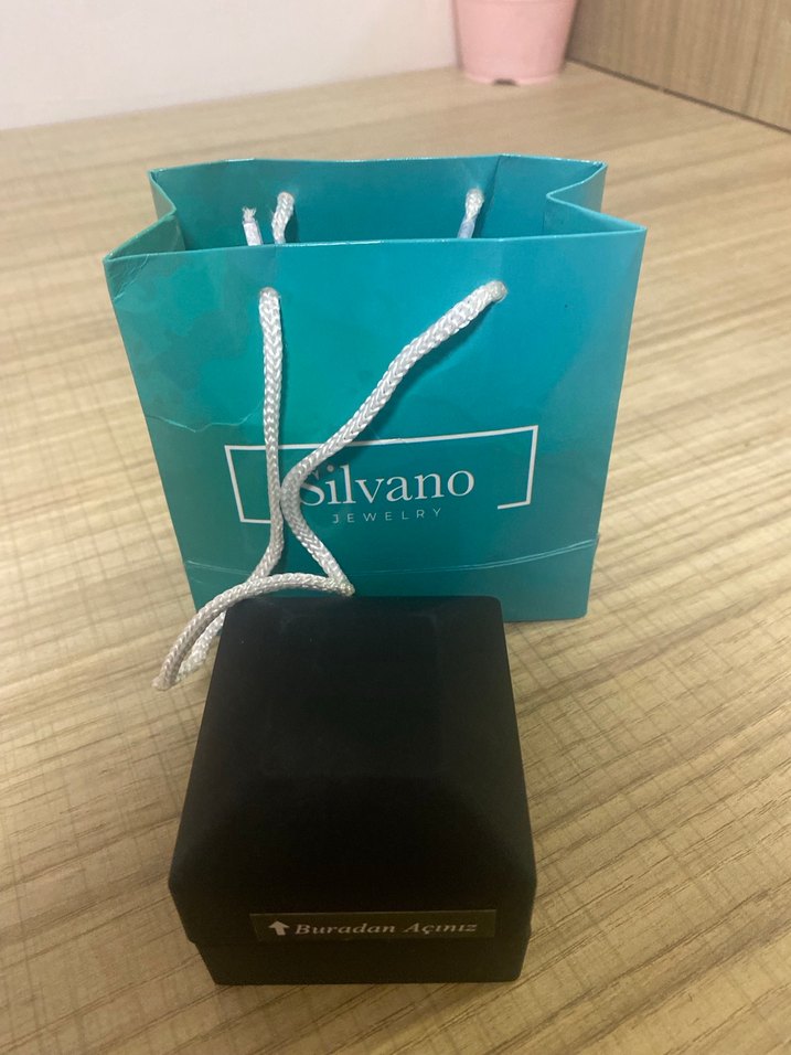 Altın Renkli Zincir Detaylı gümüş kolye - Görsel 3