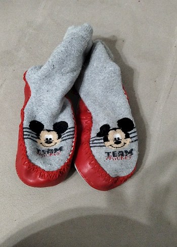 Walt Disney World 26