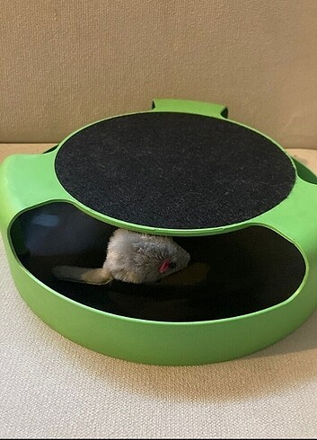  Kedi oyuncağı