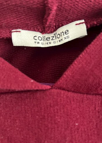 Bordo Gri Baskılı Kapüşonlu Sweatshirt - Görsel 4