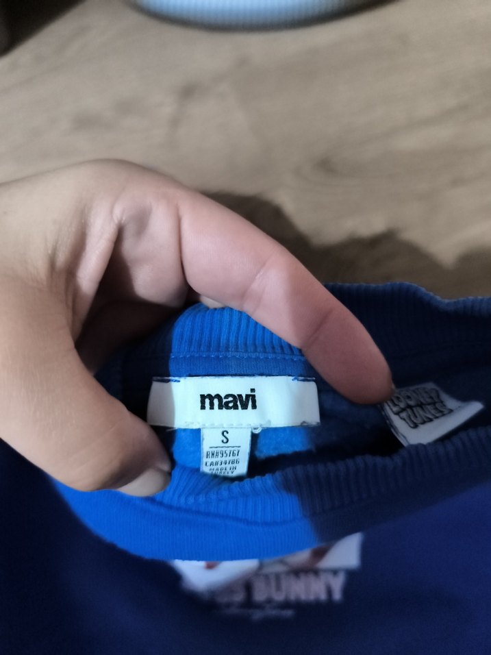 Mavi Baskılı Kadın Sweatshirt - Görsel 2