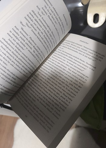 Elizabeth Hoyt - Karanlıklar Dükü - Görsel 3