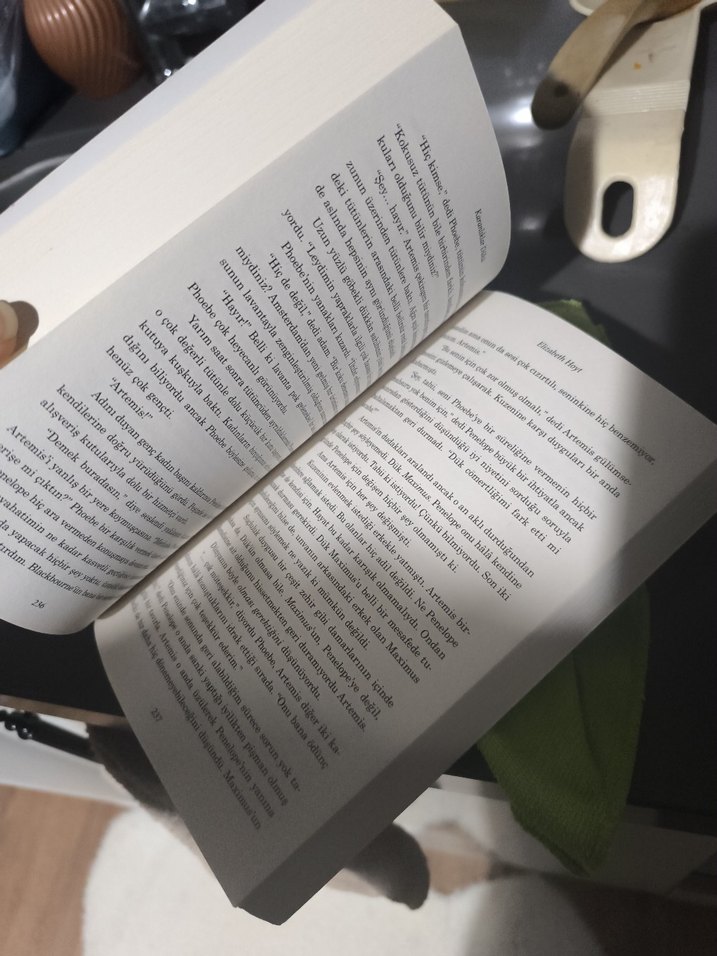 Elizabeth Hoyt - Karanlıklar Dükü - Görsel 5