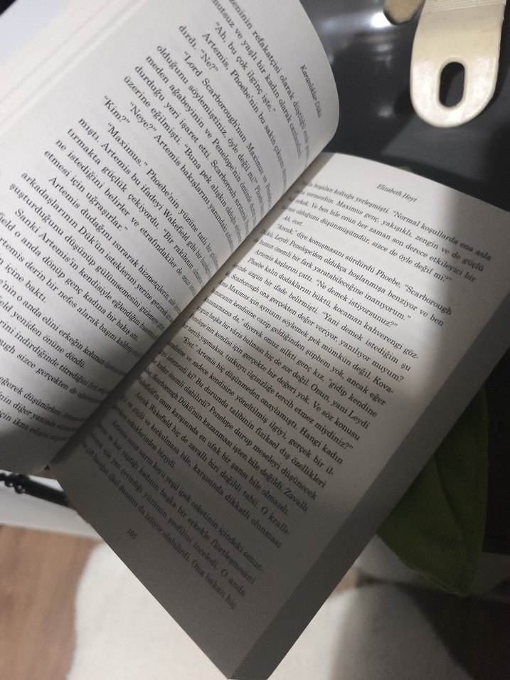 Elizabeth Hoyt - Karanlıklar Dükü - Görsel 3