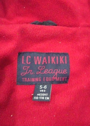 Kapüşonlu Fermuarlı Erkek Çocuk Montu - Görsel 2