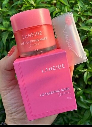 Laneige Laneige 