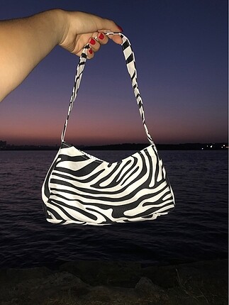 Zebra baget