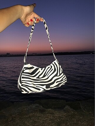Mango Zebra baget