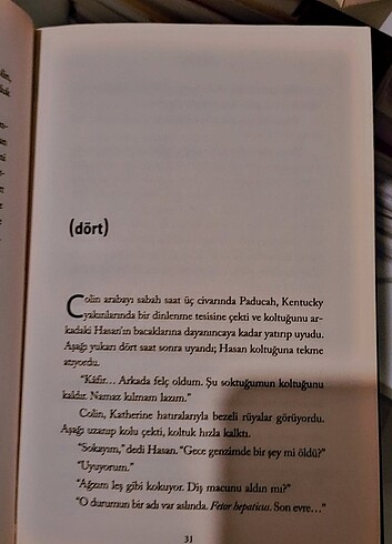 İlk aşk - Görsel 2