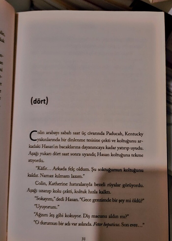 İlk aşk - Görsel 2