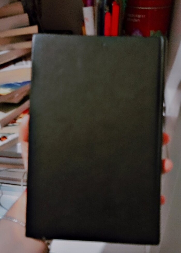 İlk aşk - Görsel 3