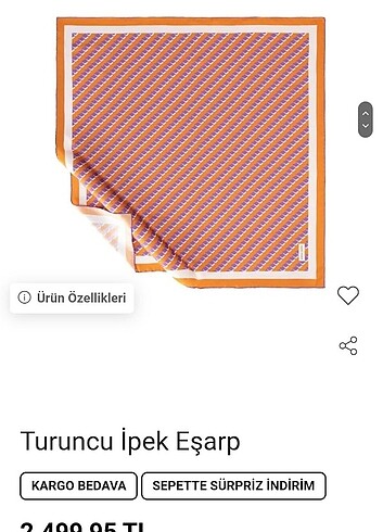 Pierre cardin ipek eşarp