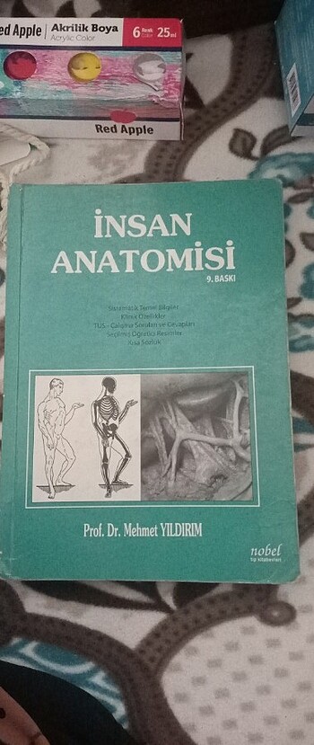 İnsan anatomisi kitabi 