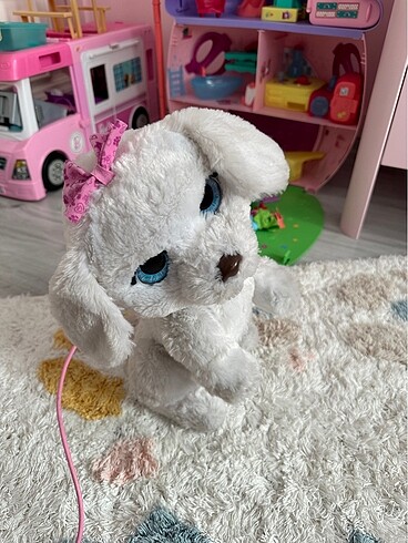  Beden Hasbro gogo dans eden köpek