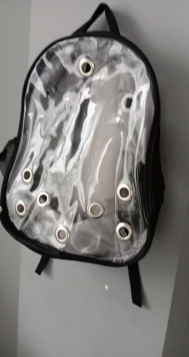 Şeffaf Ön Panelli Siyah Sırt Çantası - Görsel 3