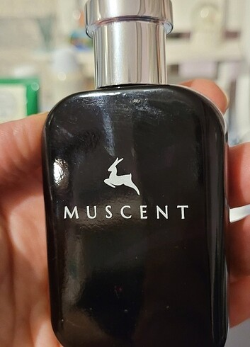 Miracle muadili Muscent parfüm. 50 ml