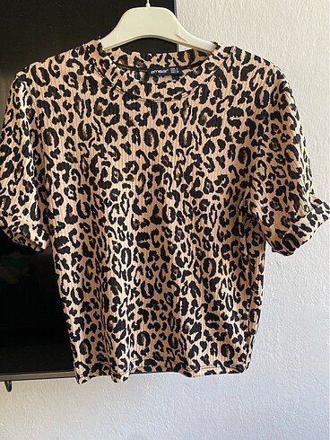 Leopar body