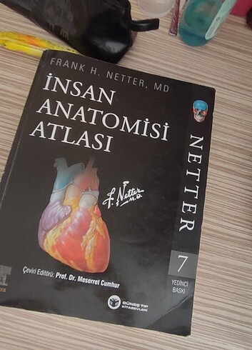 Netter anatomi atlası