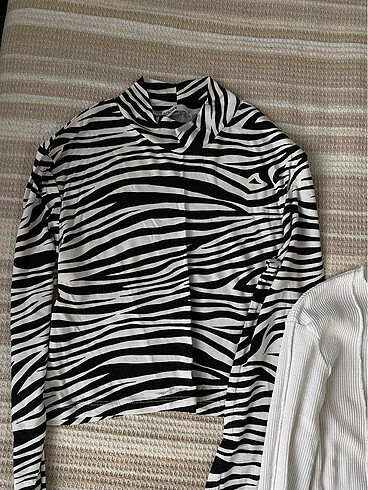zebra bluz