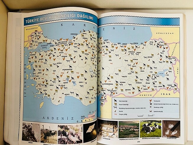 Türkiye Coğrafya Atlası. - Görsel 8