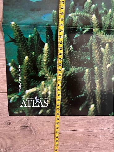  Beden Renk Derin / Atlas poster.