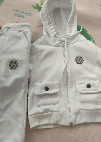 Lacoste Standart Beden