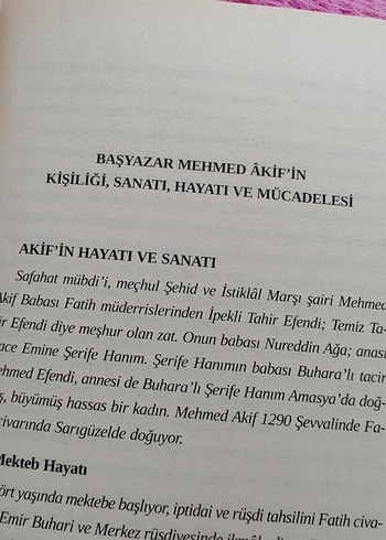 Baş Yazar Mehmed Âkif - Görsel 8