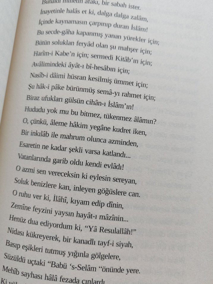 Baş Yazar Mehmed Âkif - Görsel 4