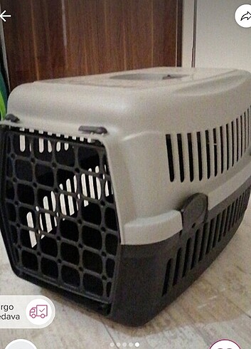 Kedi taşıma kabi