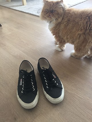 39 Beden Superga ayakkabı