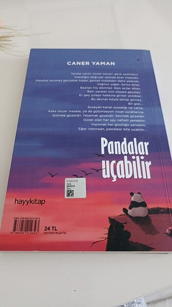  Pandalar uçabilir 