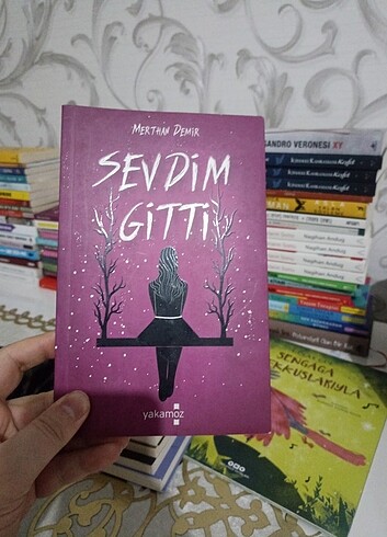 Sevdim gitti