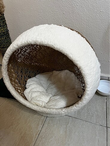 KEDİ YATAĞI