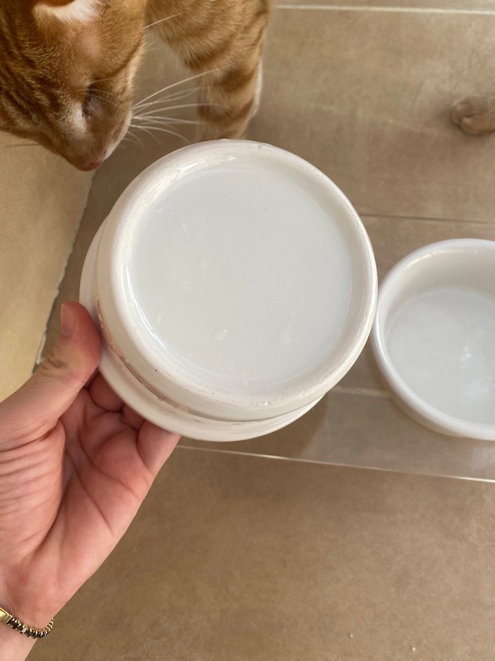 Beyaz Seramik 2'li Kase Seti - Görsel 4