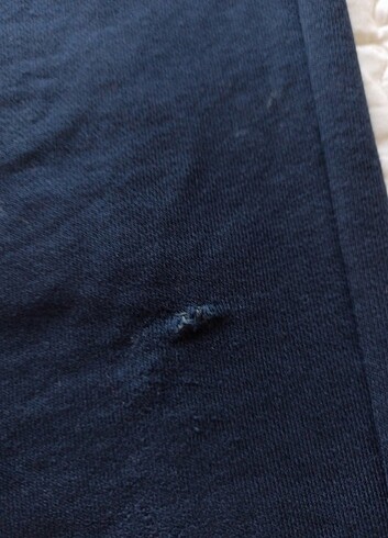 U.S Polo Assn. Eşofman altı 