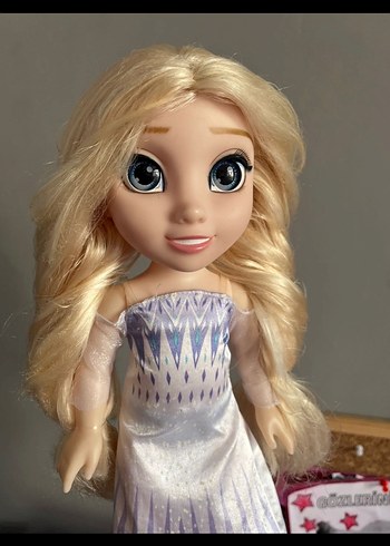 Walt Disney World Diğer