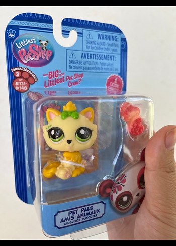 Himalaya miniş # Pet Shop Figür - Görsel 2