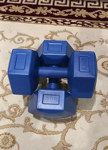 İki tane 2×5 kg lık dambıl