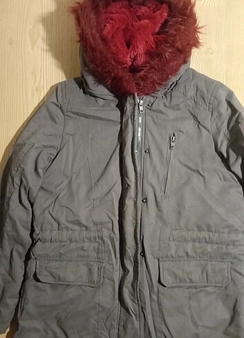 Kürklü kaban - Görsel 5