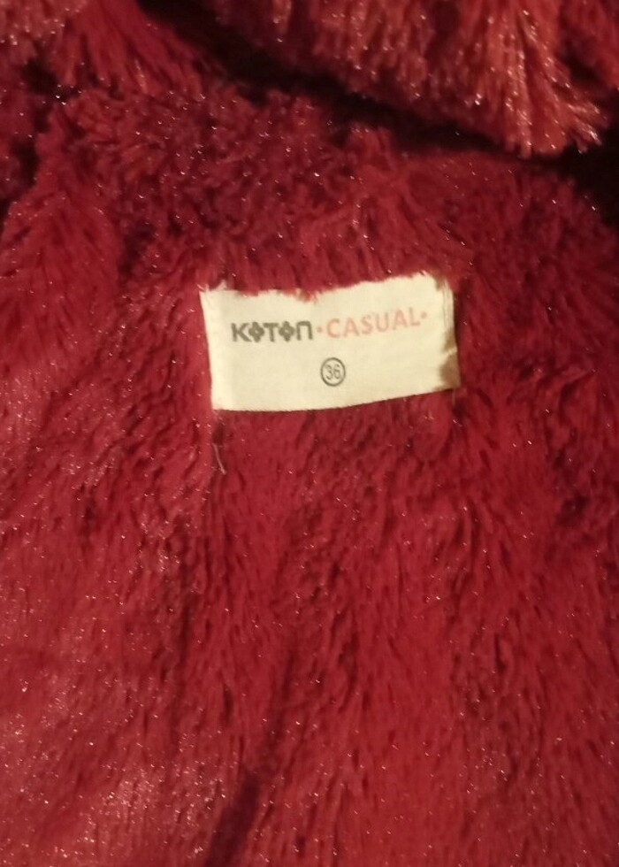 Kürklü kaban - Görsel 2