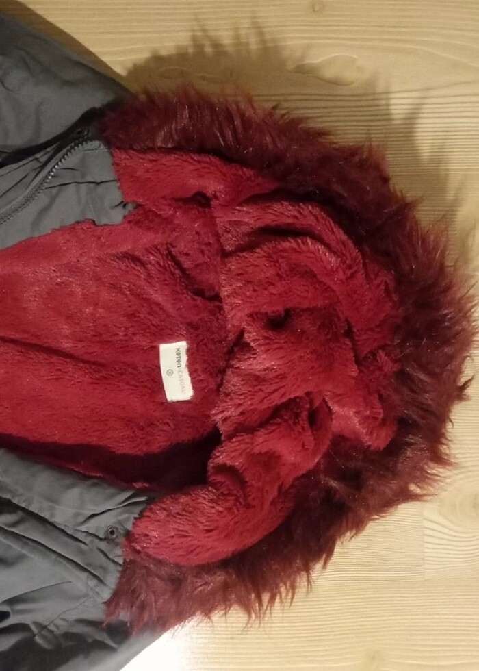 Kürklü kaban - Görsel 4