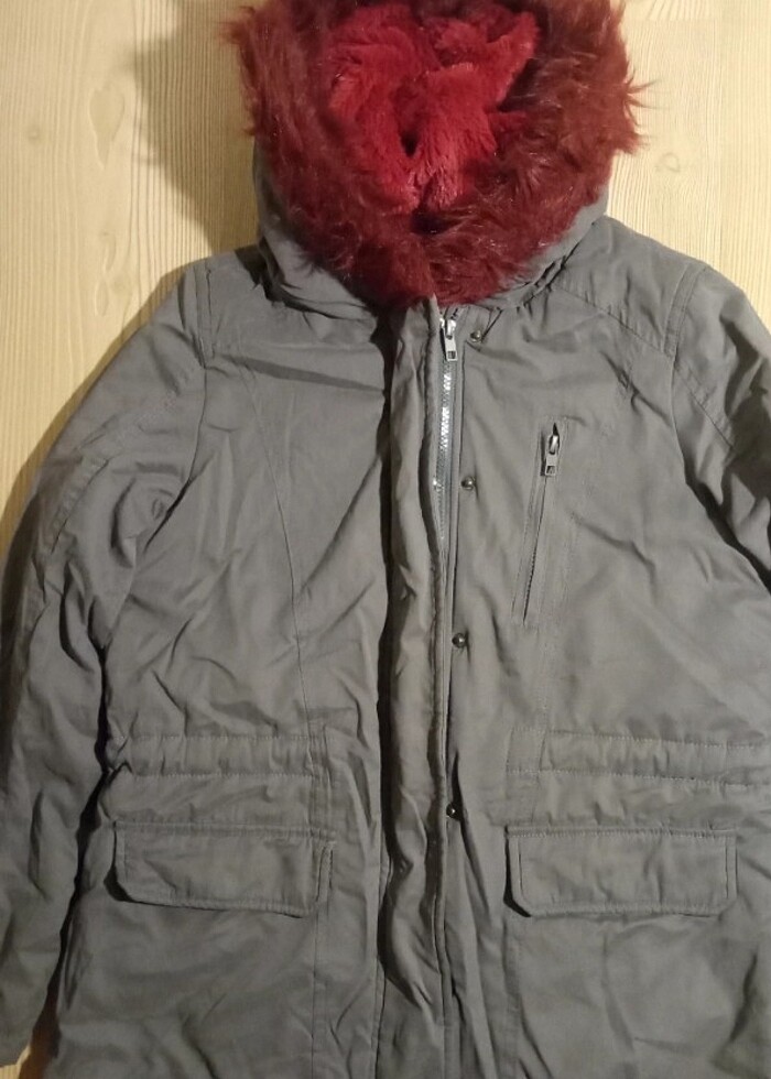 Kürklü kaban - Görsel 5