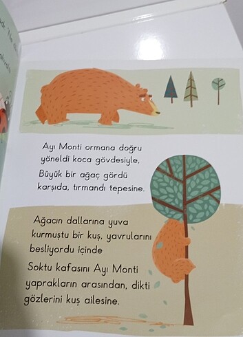 Beden Utangaç Monti