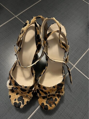 Yeni leopar