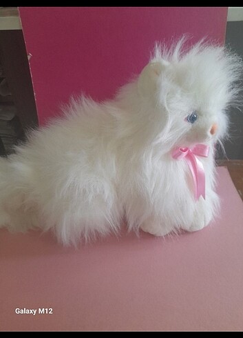 Oyuncak kedi 