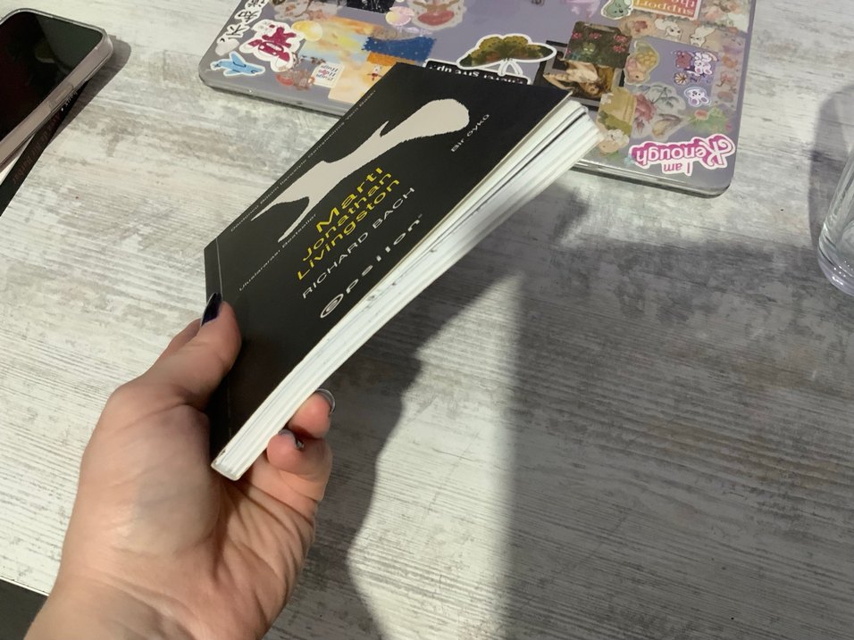 Martı Jonathan Livingston richard bach - Görsel 2