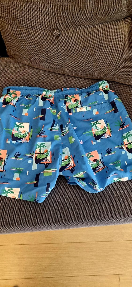 Lacoste Mavi Erkek şort mayo - Görsel 2