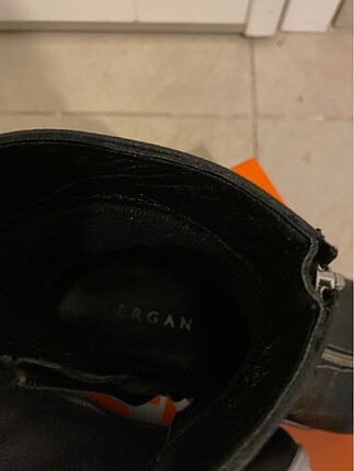 39 Beden Tergan bot