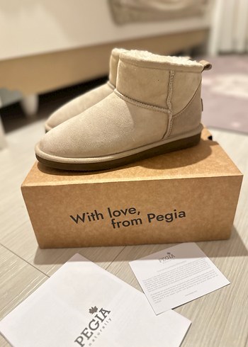 Pegia bot - Görsel 2